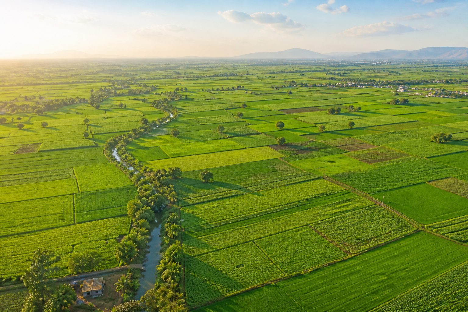 Farm Landscape